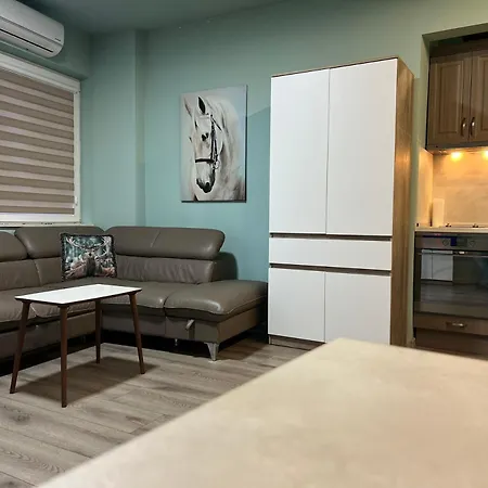 Apartament Seaside *